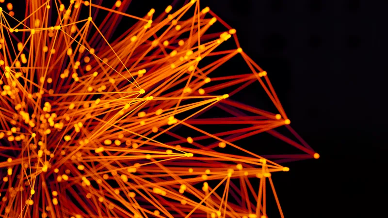 Structure as a Feature: Why the Most Effective Decentralized Networks Are Built on Unbreakable Rules